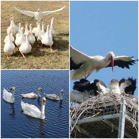 2 Personnes * Courcoury