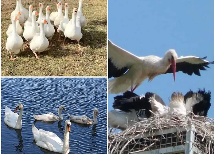 2 Personnes * Courcoury